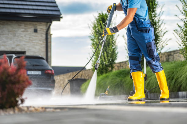 Best Best Pressure Washing Companies  in Litchfield, IL